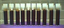 vials10.jpg